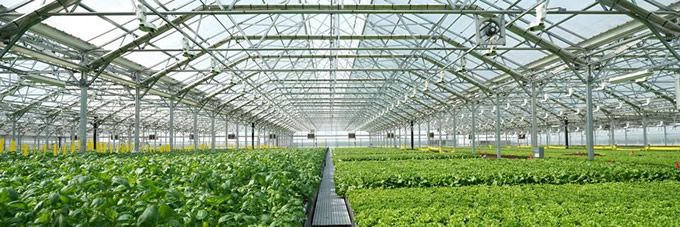 Tradepoint Atlantic Welcomes Gotham Greens To Sparrows Point
