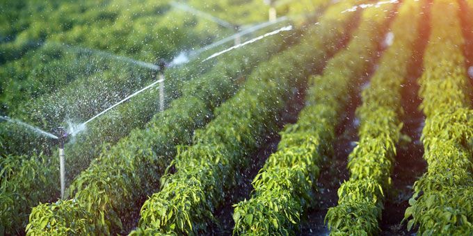 Advancements in Remote Control Technologies in Irrigation Systems