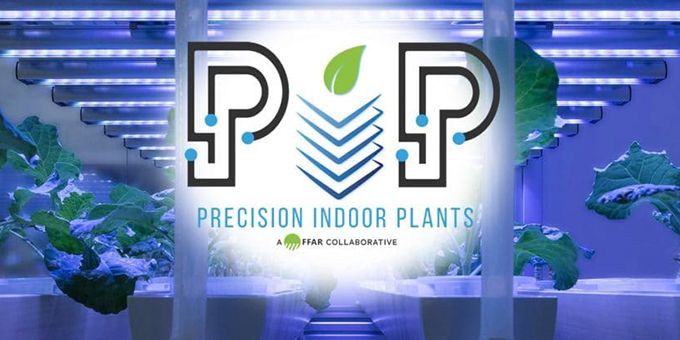 First-of-its-Kind Consortium Develops Crops Intended for Indoor Agriculture