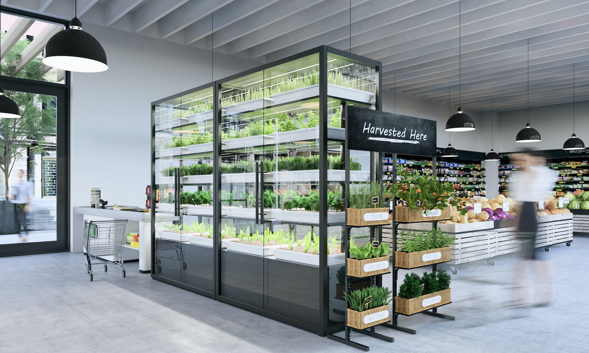2021 Top Article - How Vertical Farming will shape the Post Pandemic Food Supply Chain
