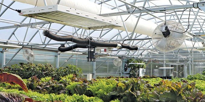 Greenhouse Kits: Finding the Ideal Prefab Greenhouse for Your Operation