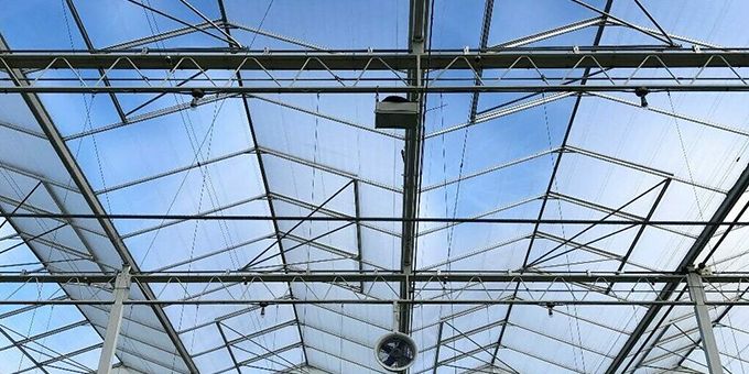 Shedding Light on Diffused Glass Vs Clear Glass – Greenhouse