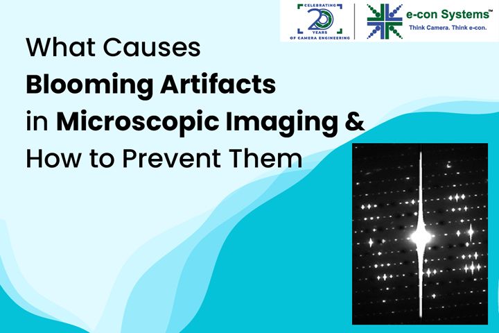 What Causes Blooming Artifacts in Microscopic Imaging and How to Prevent Them