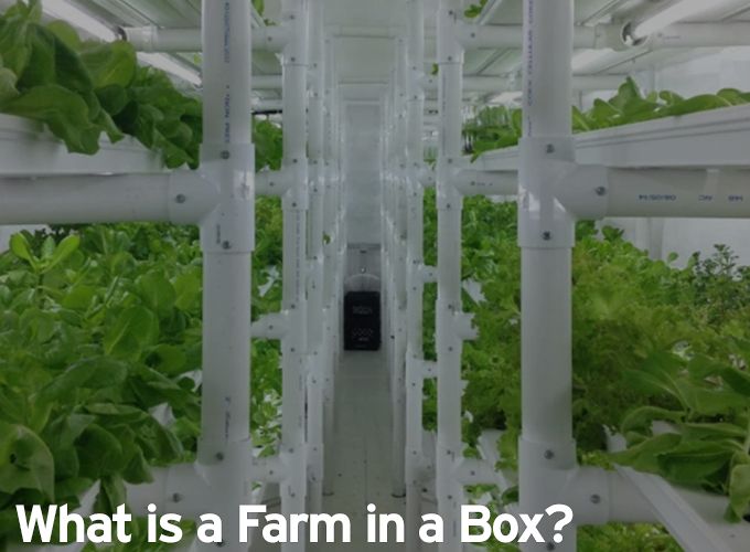What is a Farm in a Box?