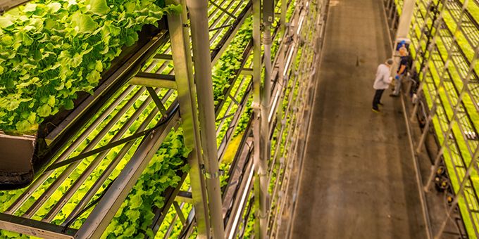 AeroFarms Partners To Launch First Vertical Farming Program Addressing Food Deserts, Inequity with Food Access & Education	