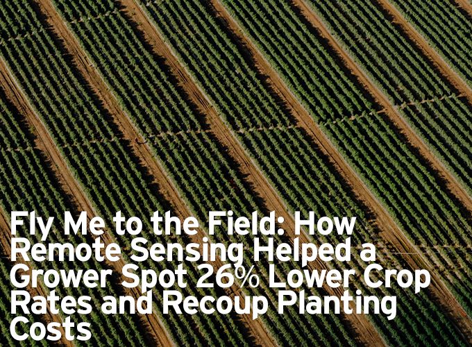 Fly Me to the Field: How Remote Sensing Helped a Grower Spot 26% Lower Crop Rates and Recoup Planting Costs