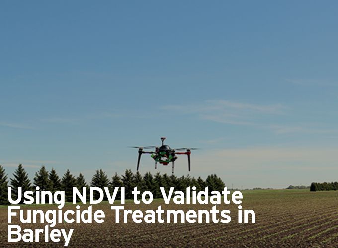 Using NDVI to Validate Fungicide Treatments in Barley