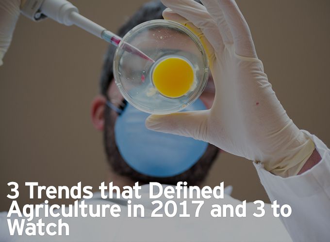 3 Trends that Defined Agriculture in 2017 and 3 to Watch