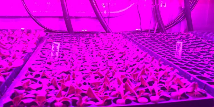 Electrifying Container Farming & Indoor Agriculture