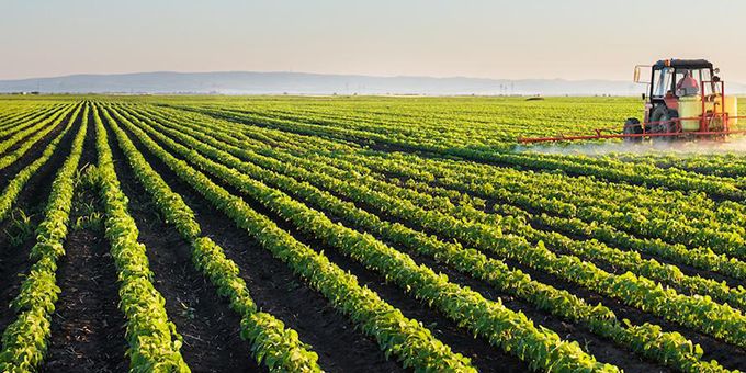 How Machine Learning Plus Weather Information Can Help Us Feed The World