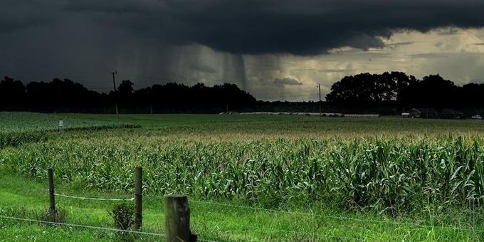 Rainfall Revisited: Accurate Observations And Beyond