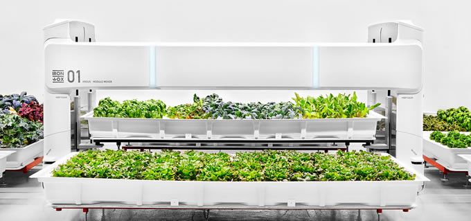 From Robot Farm to Table: Iron Ox Unveils the First Fully Autonomous Indoor Farm