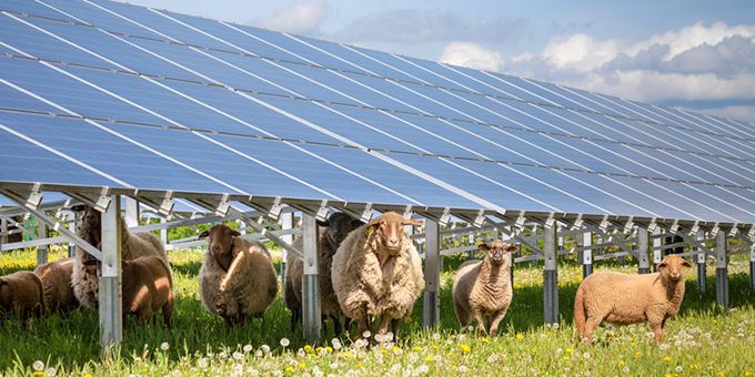 Literal Solar Farms - When Agriculture and Solar Meet