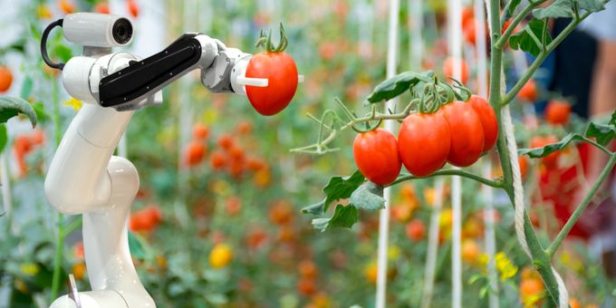 Age Of Agriculture Robots: Fruit-Picking Robots And Drones To Take Over  Farms | AgriTechTomorrow