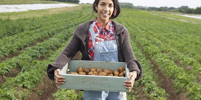 Yara and IBM Launch an Open Collaboration for Farm and Field Data to Advance Sustainable Food Production