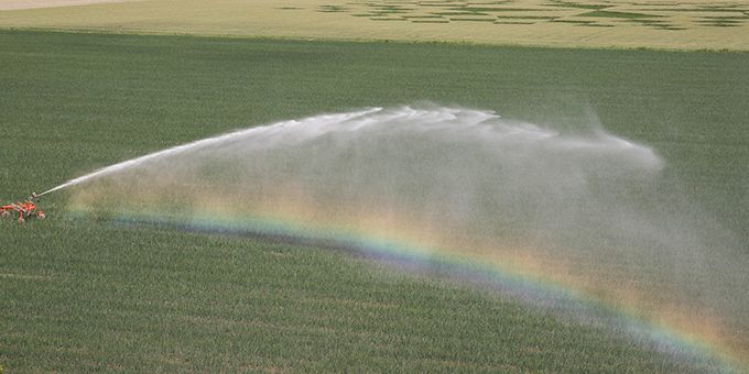 IoT Water Sensors: Improving Water Quality Management In Agriculture