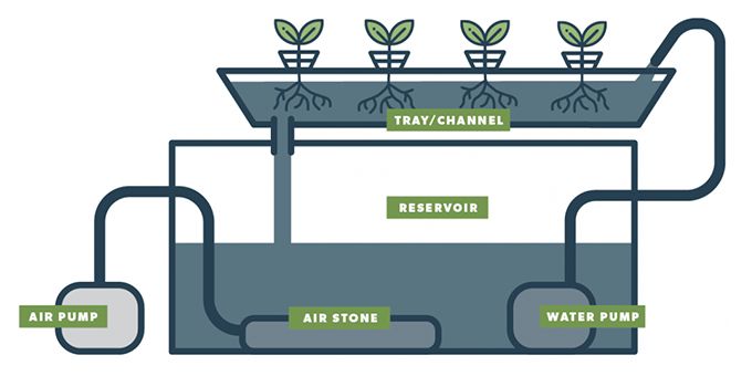 How Deep Flow Technique (DFT) Hydroponic Systems Work