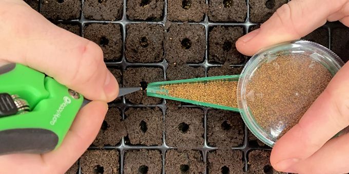 Start Your Seeds Off Right in a Germination Chamber