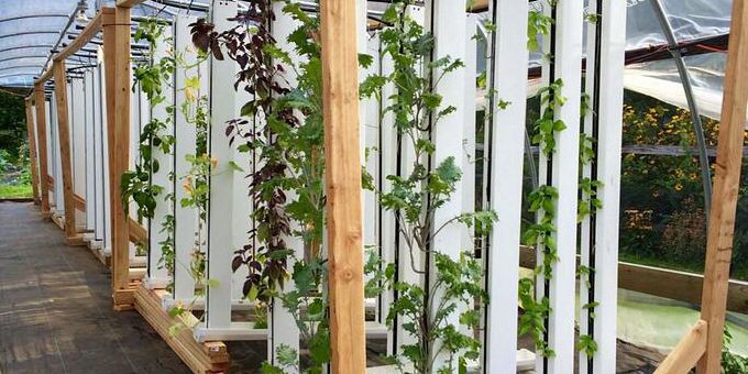 The One Thing You’re Probably Overlooking in Your Greenhouse	