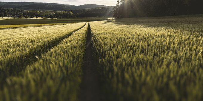 Smart Solutions Help Farmers Combat Climate Change