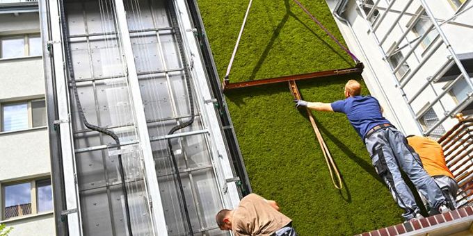 Green Walls for Fighting Climate Change