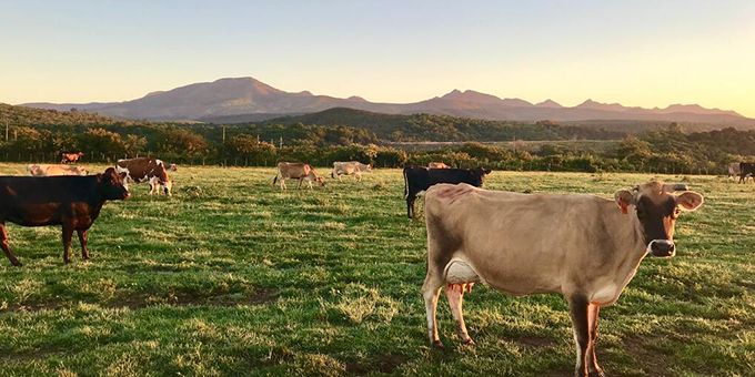Building a True IoT Ecosystem for Smart Farming