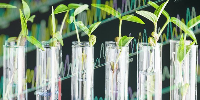 Innovating Ag-Lighting