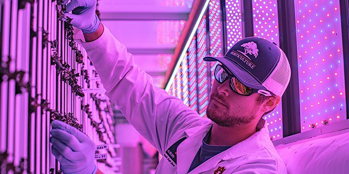 Auburn University College of Agriculture Using High-tech Shipping Containers to Grow Produce for Campus Dining	