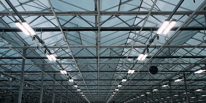 Supplemental Greenhouse Lighting: Hacking the Sun to Grow Your Business