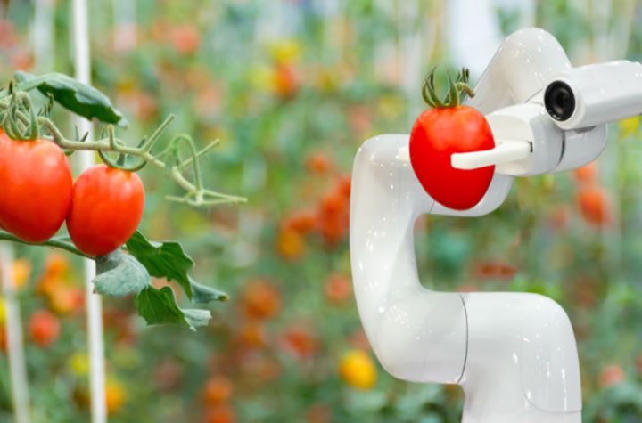 Advances in artificial intelligence (AI) and Internet of Things (IoT) for Precision Growing	
