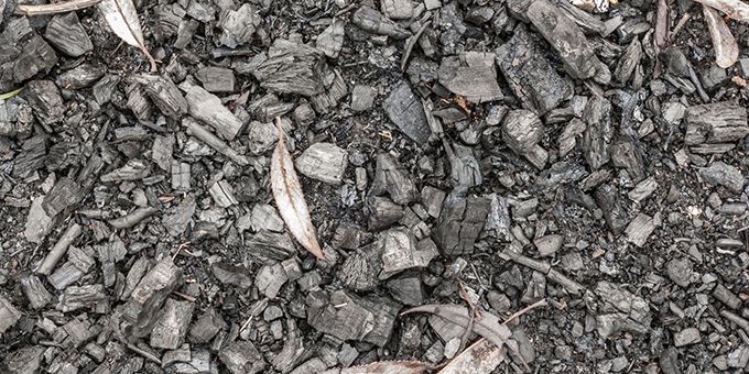 Does Biochar Have a Future in Agriculture?