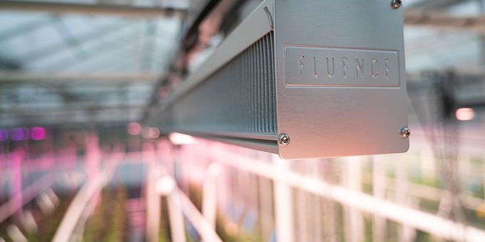 Choosing the Right LEDs for Your Greenhouse