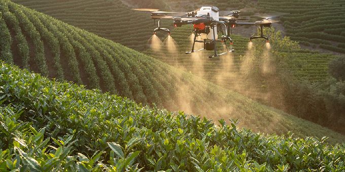 AgriTech Provides a More Precise Approach to Pest Management