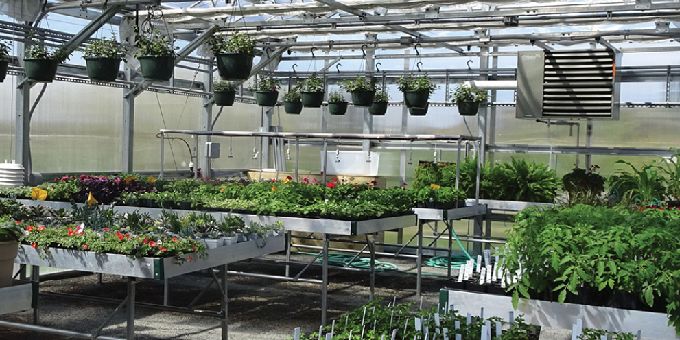 Implementing Greenhouse Shelving To, Greenhouse Shelving Systems