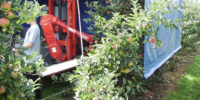 Vision System Simplifies Robotic Fruit Picking – Acro Institute