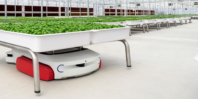 Using AI, Robotics and Plant Science to Grow Better More Sustainable Produce