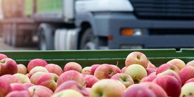 Four Strategies for Food Supply Chain Management