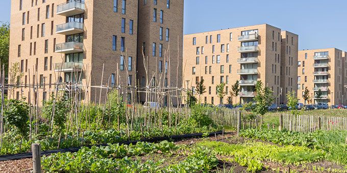 How Urban Agriculture Is Transforming Cities