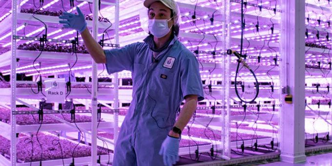 Clean and Biosecureobile Vertical Grow Racking Systems