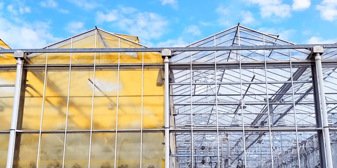 6 Types of Greenhouse Poly Film Coverings