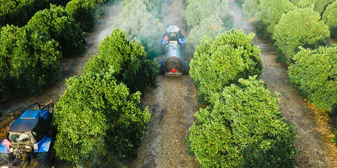 Crop Management Company Improves Working Efficiency by 28% in Citrus Orchard Operations With Fieldin