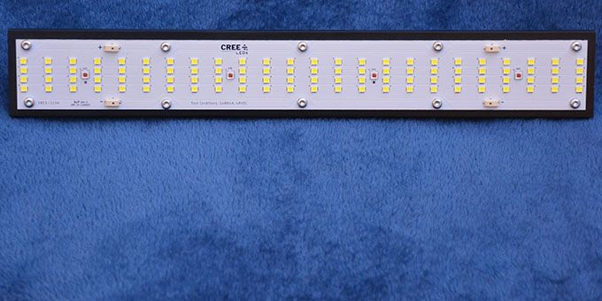 Horticulture LEDs and Photophyll™ Select LED