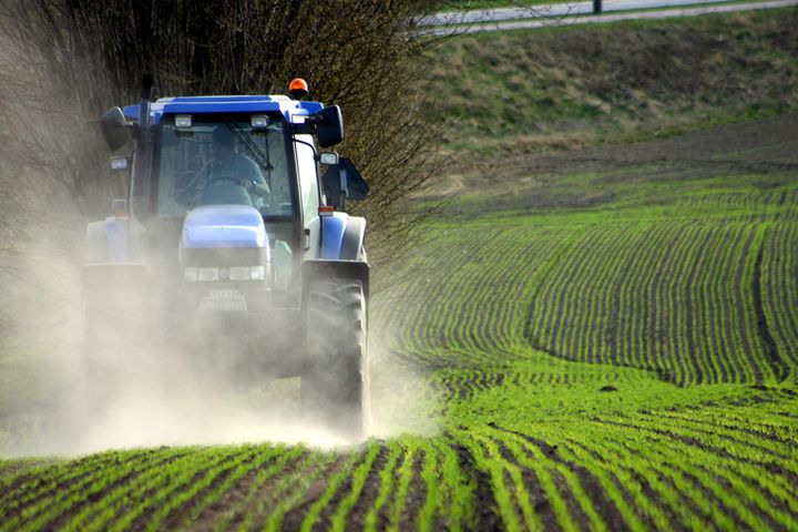 Building the Business Case for Conservation Agriculture and Redefining Our Approach to Feeding the World