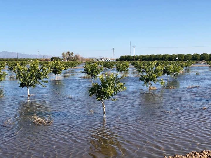 Revolutionizing Agriculture: Innovative Irrigation Solutions for a Sustainable Water Future