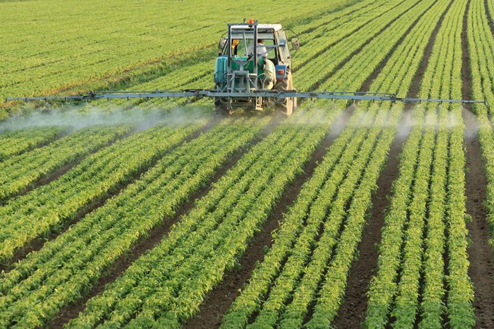 What are the Realistic Expectations for Biopesticides to Replace Synthetics in Commercial Agriculture?