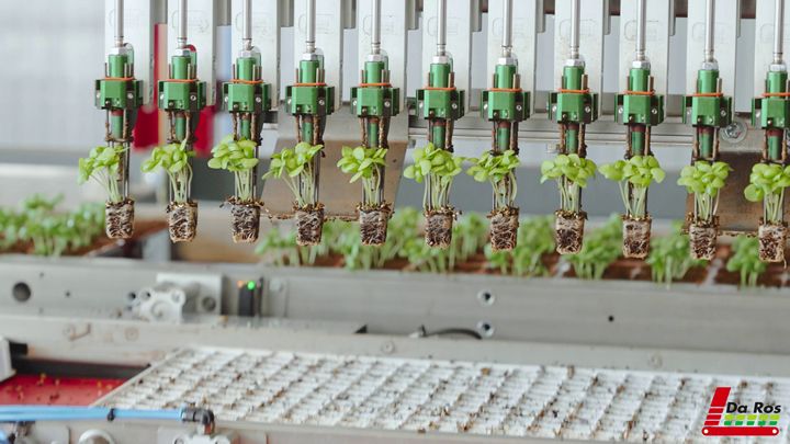 Modern Machines for Automated Agriculture - How Modern Seedling Transplanting Works