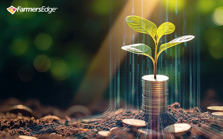 The Hidden Cost of Owning it All
