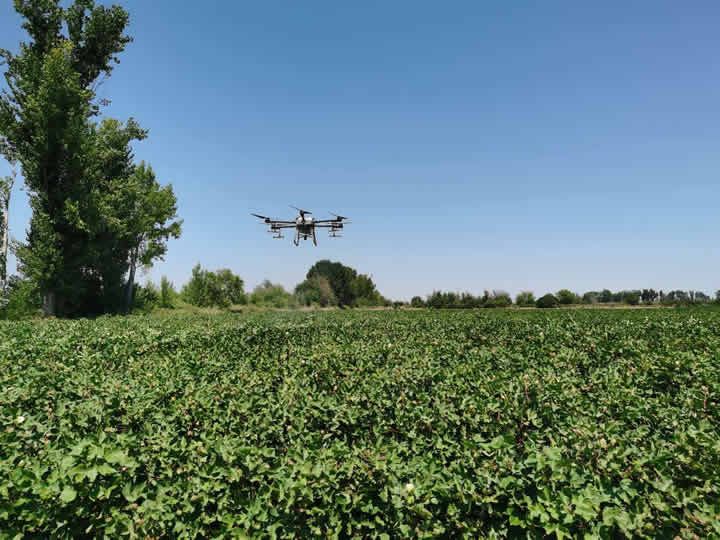 Revolutionizing Cotton Farming in Greece with Stark Flight Agriculture Drones