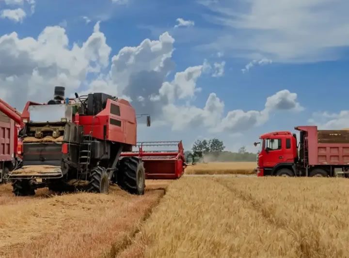 Why Top Agri-Businesses Are Turning to AI-Powered ERP Systems for Competitive Advantage