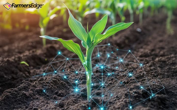 Partnering with a Leading Renewable Fuel Provider to Pioneer Field-Based CI Scoring